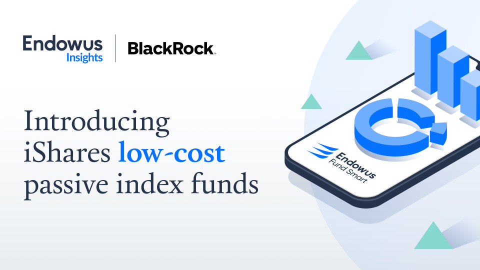 iShares lowcost passive index funds by BlackRock for retail investors